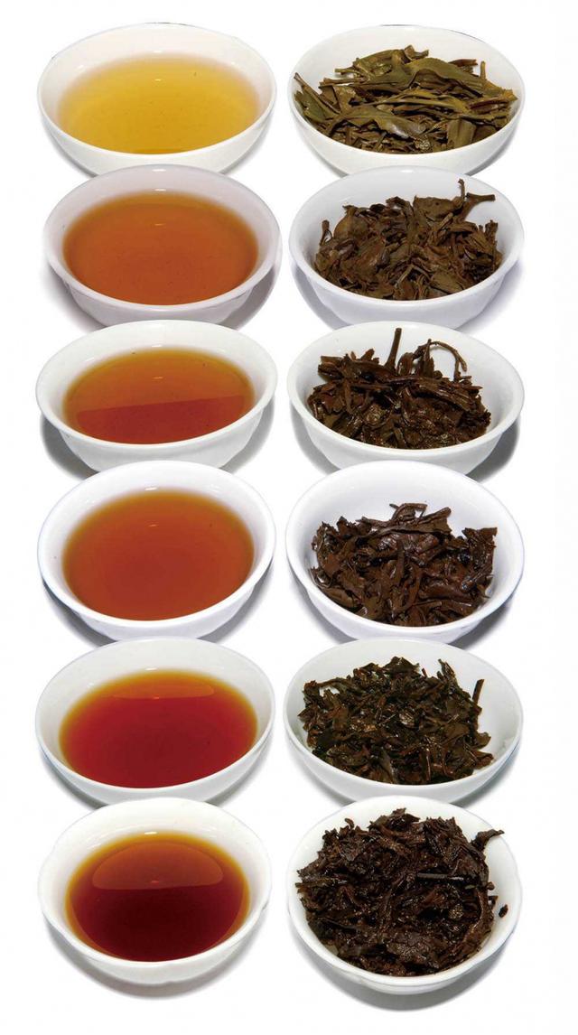 可饮可藏可投资的茶叶 普洱茶养生正时尚